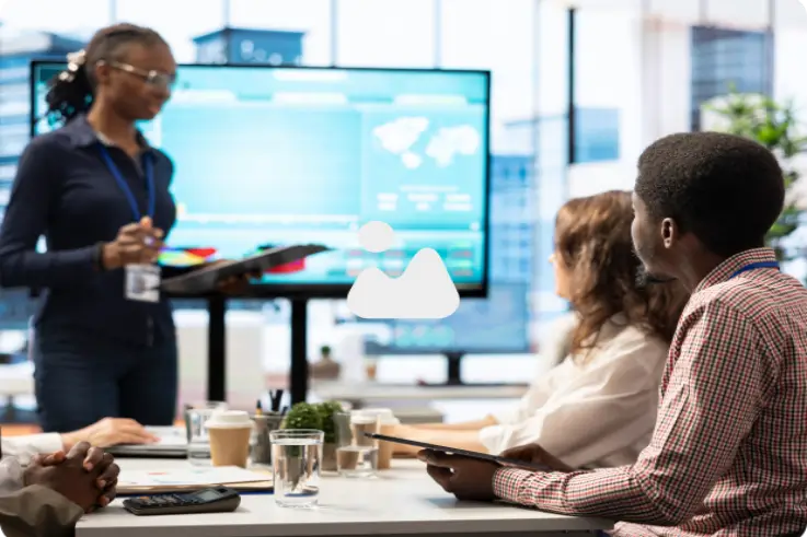 Professional woman working